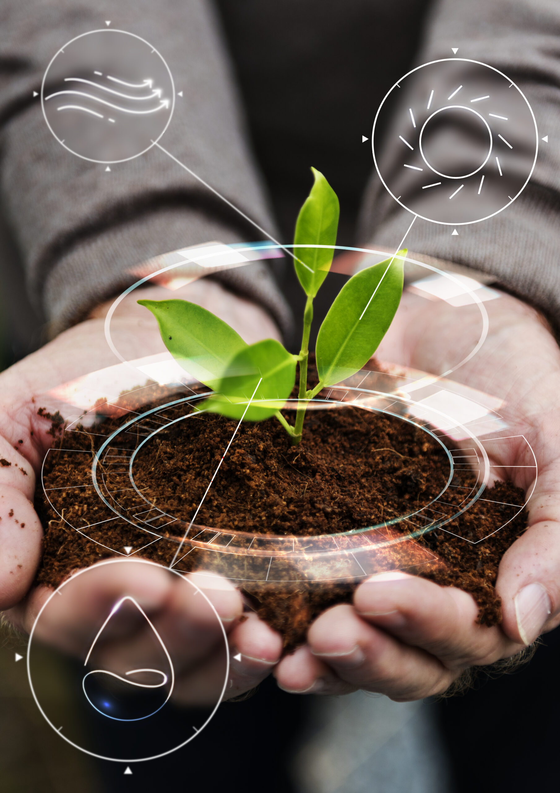 Curso de Agronomia IESGO