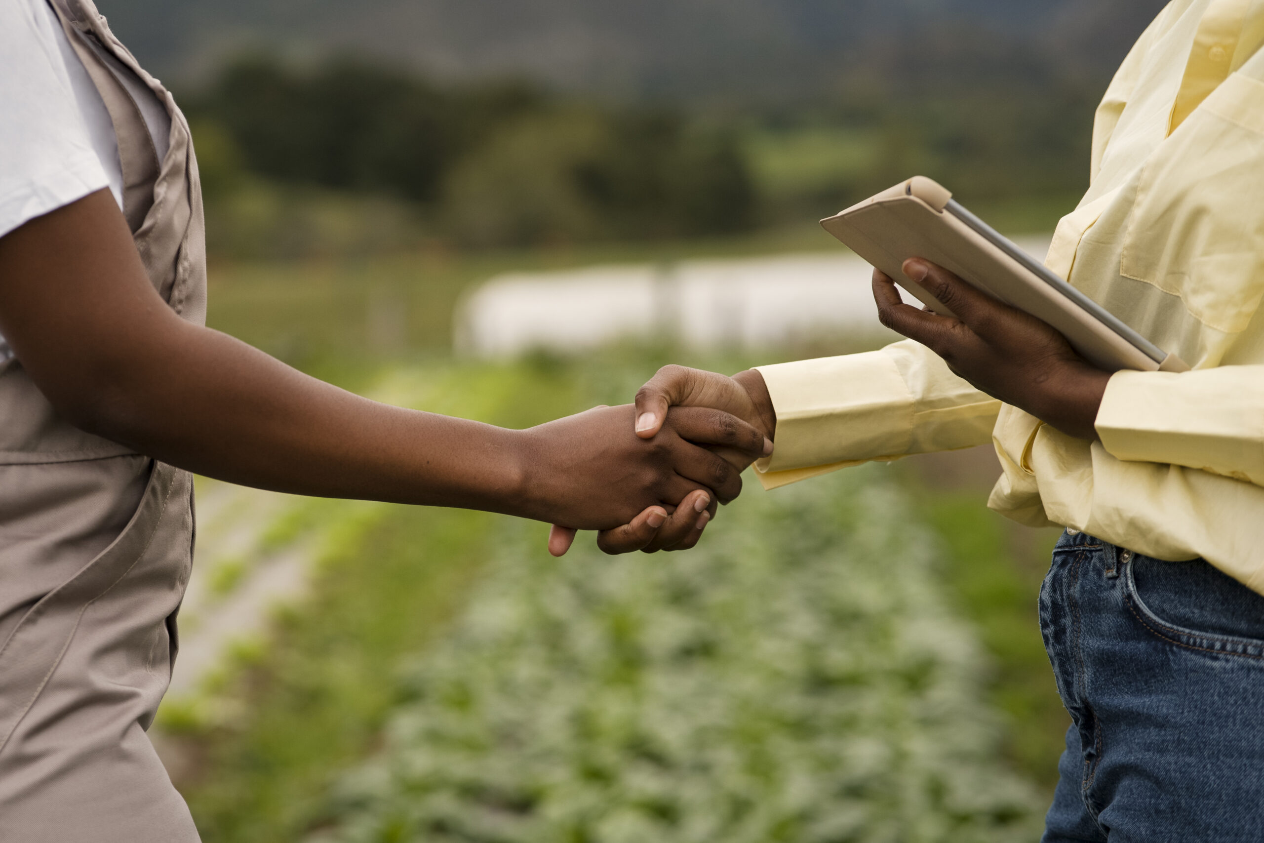 Áreas de Atuação em Agronomia